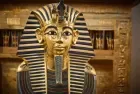 Tour to the Egyptian Museum in Cairo